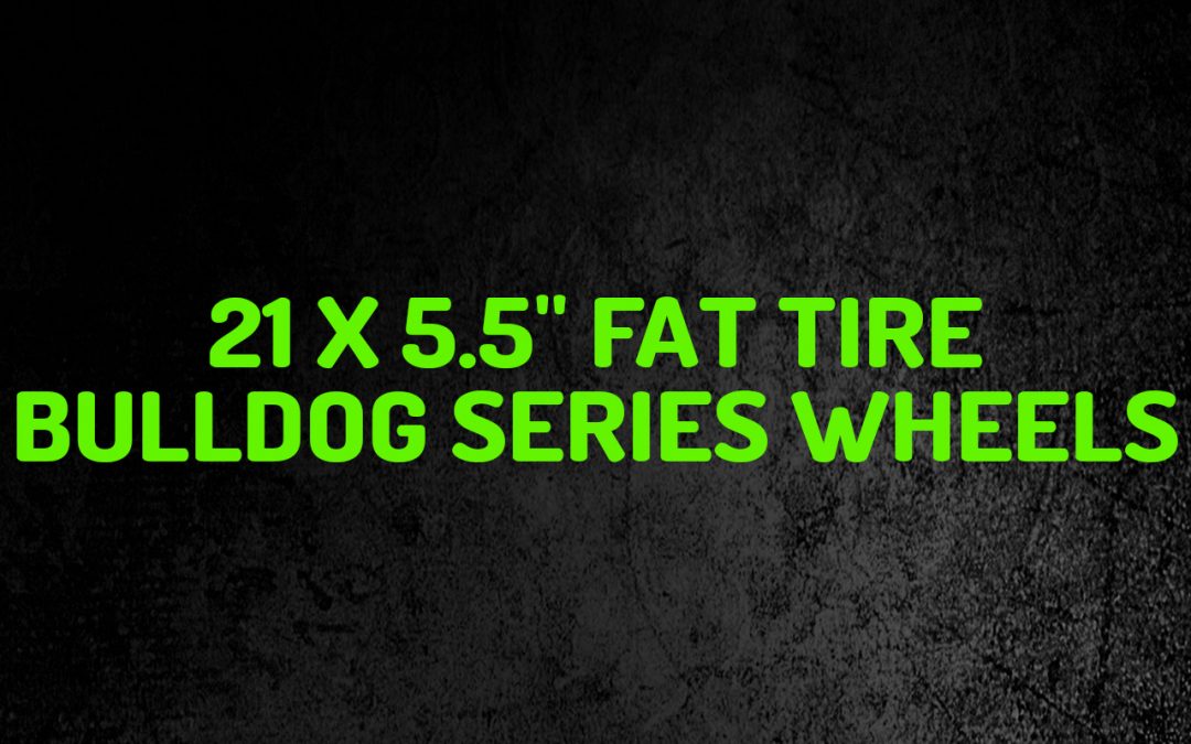 21 x 5.5" Fat Tire Bulldog Series Motorcycle Wheels