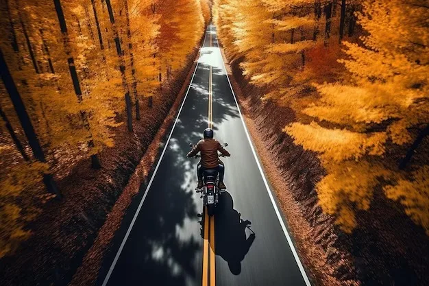 bull dog wheels in fall