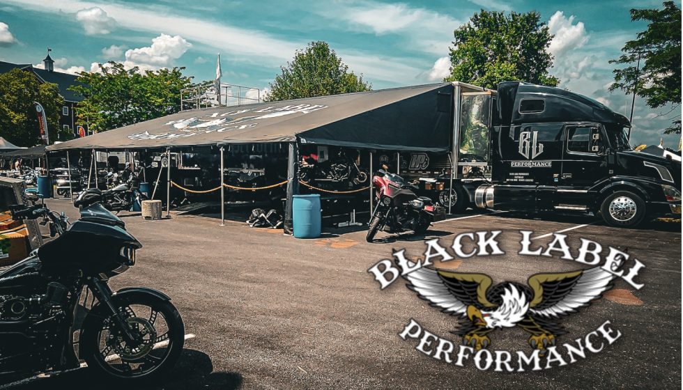 Black Label Performance: What Sets Them Apart